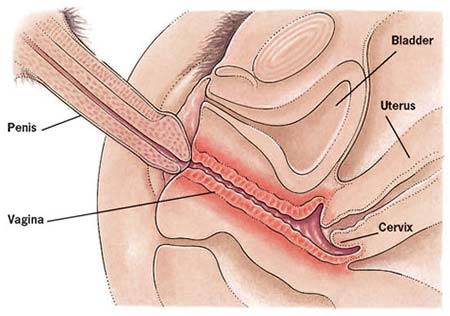 Hurts While Having Sex 96