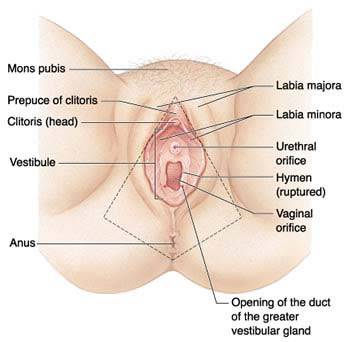 Medical procedures performed on the clitoris