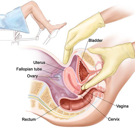 Annual OB GYN Exam | Gynecology Test